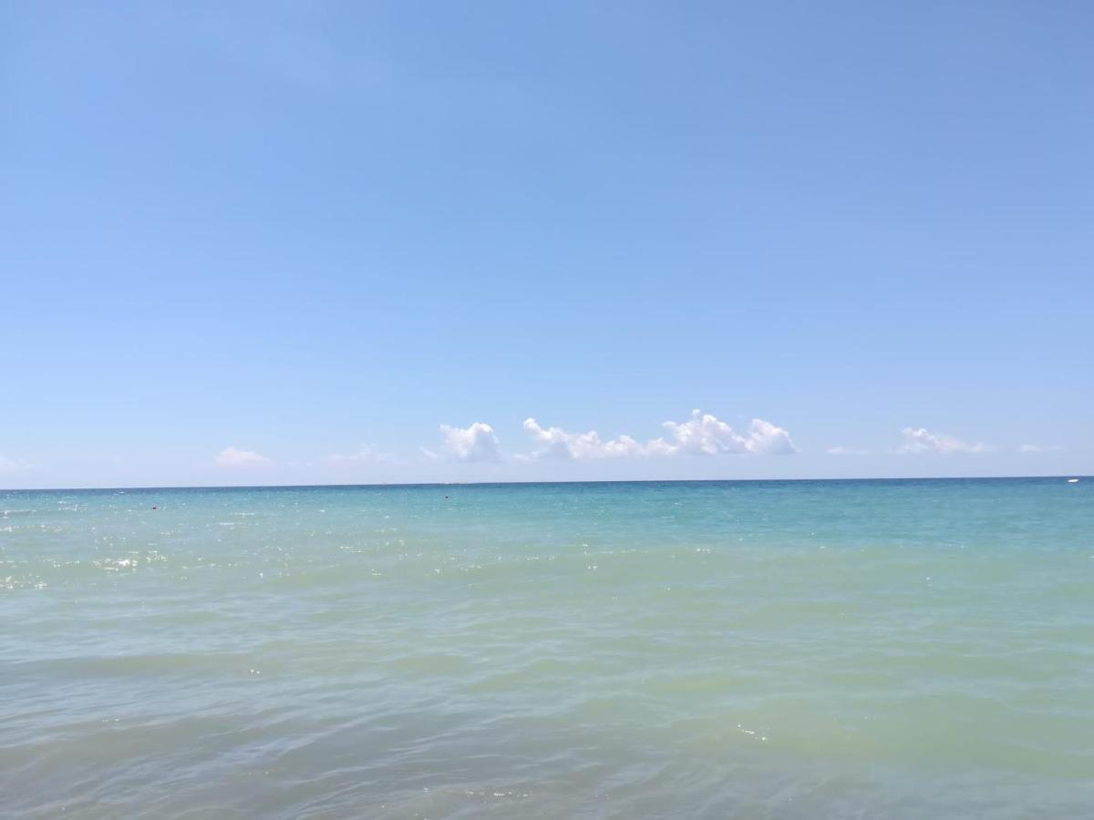 La Ceiba Speciosa Bed & Breakfast Capaccio